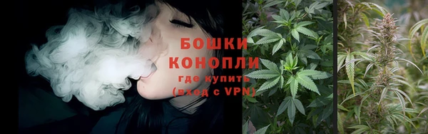прущие грибы Бугульма