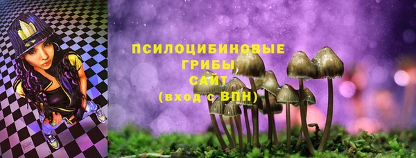 прущие грибы Бугульма